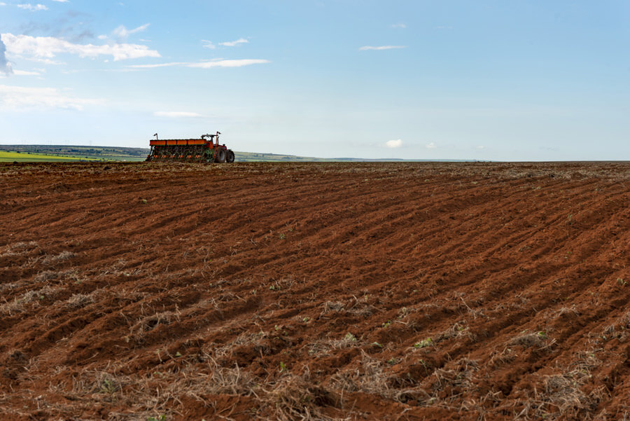 Solo recém plantado por uma plantadeira.